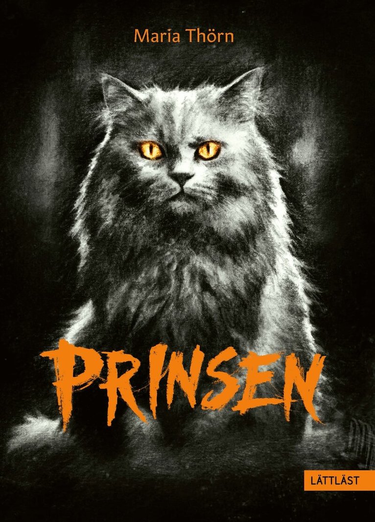 Maria Thörn - Prinsen (lättläst), E-bok