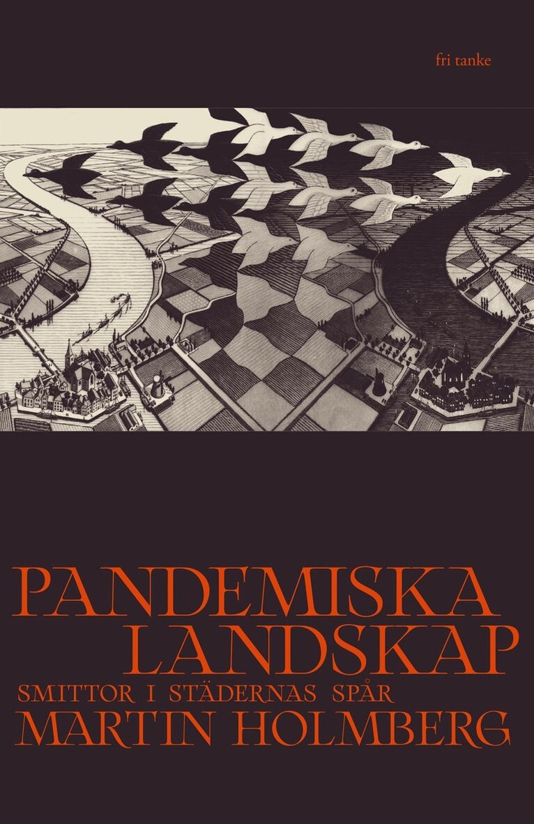 Martin Holmberg - Pandemiska landskap: Smittor i städernas spår, E-bok