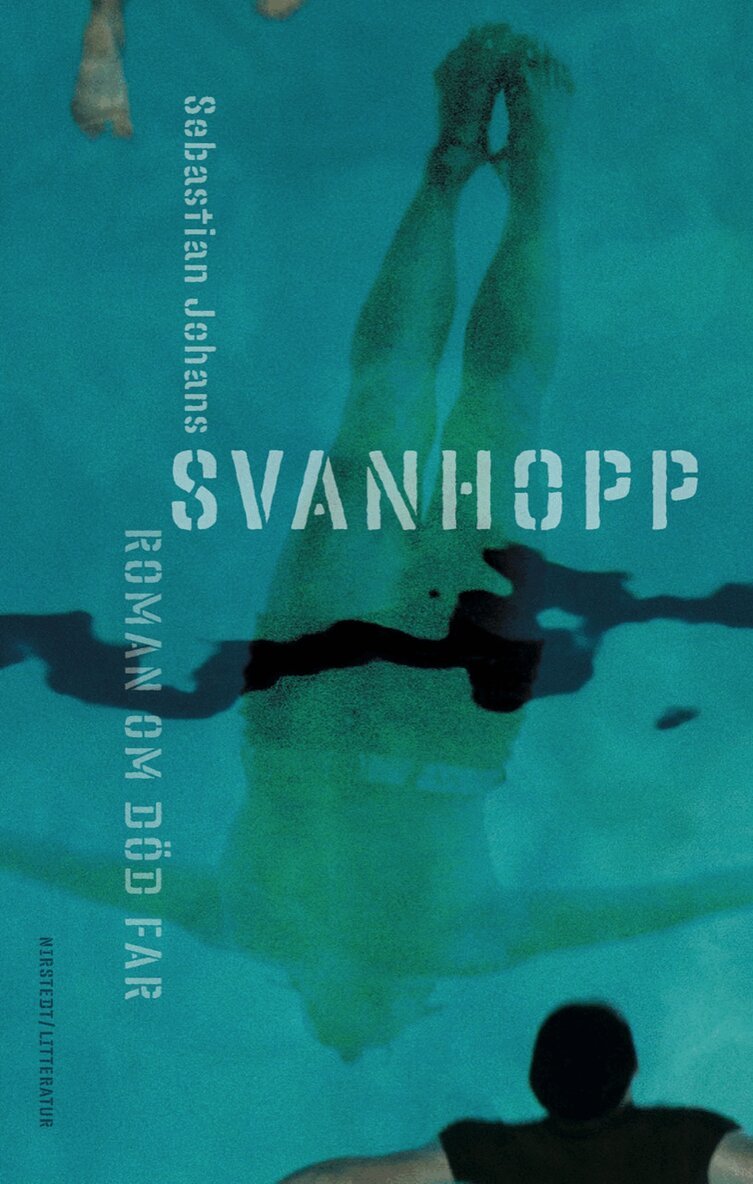 Sebastian Johans - Svanhopp, E-bok
