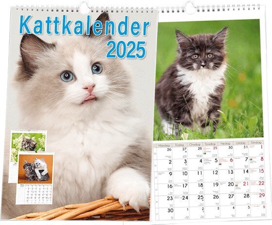 Kattkalender 2025, Häftad