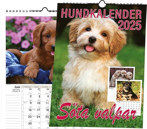 Hundkalender 2025, Häftad