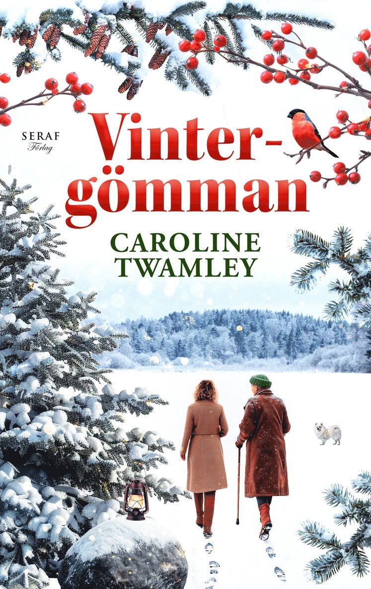 Caroline Twamley - Vintergömman, E-bok