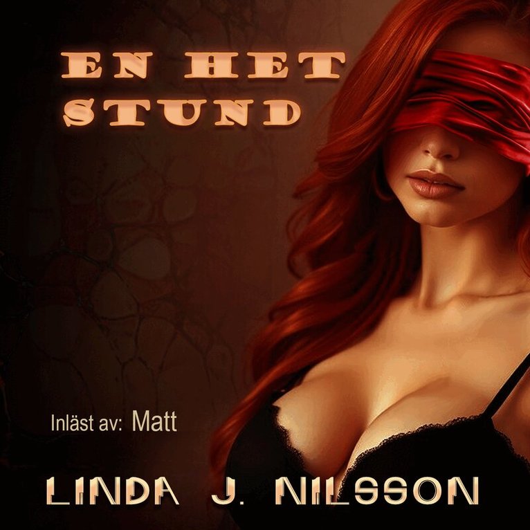 Linda J. Nilsson - En het stund, Ljudbok