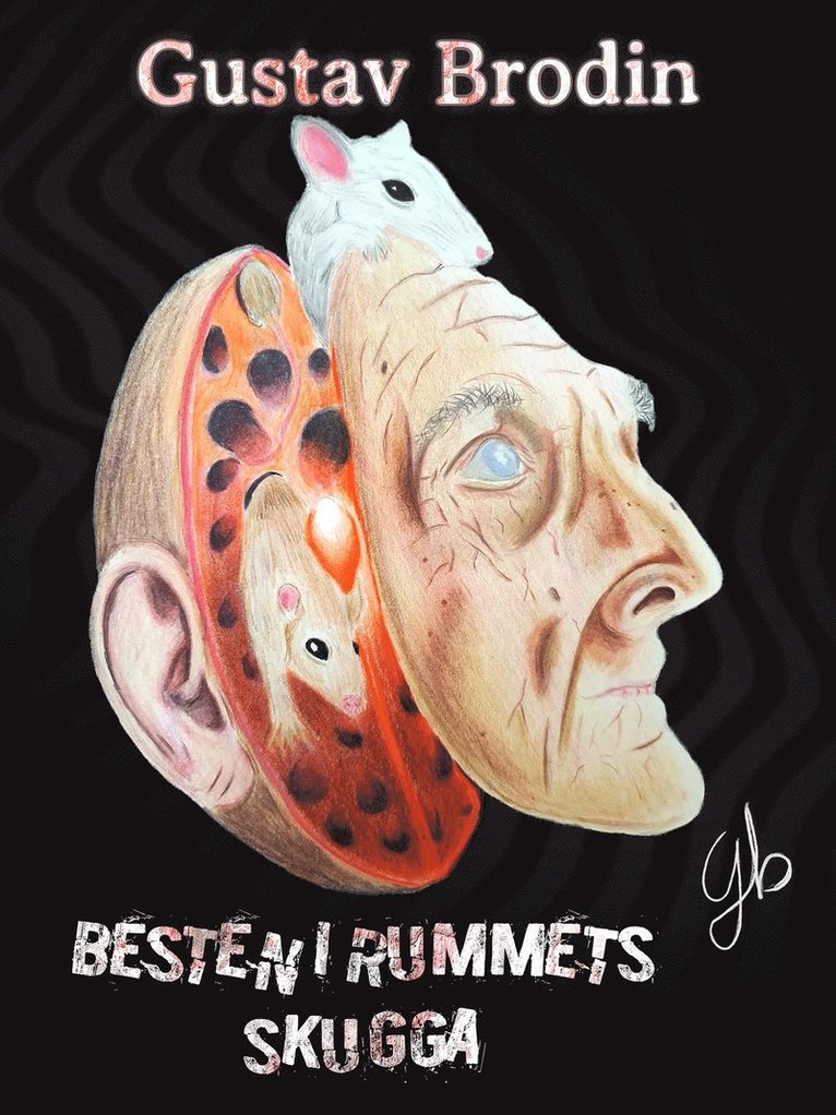 Gustav Brodin - Besten i rummets skugga, E-bok
