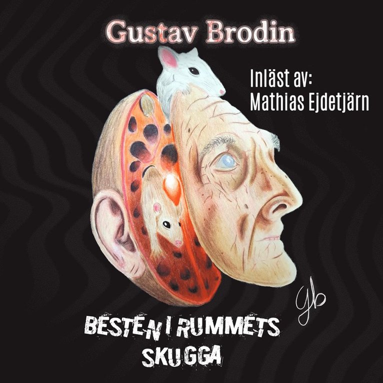 Gustav Brodin - Besten i rummets skugga, Ljudbok