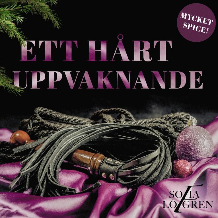 Sofia Löfgren - Ett hårt uppvaknande, Ljudbok