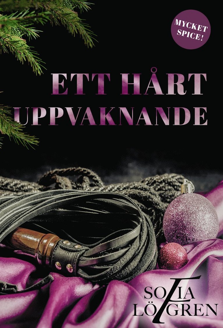 Sofia Löfgren - Ett hårt uppvaknande, E-bok