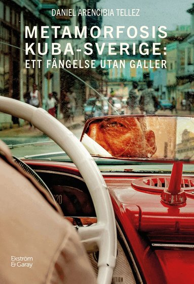 Daniel Arencibia Tellez - Metamorfosis Kuba-Sverige : ett fängelse utan galler, Häftad