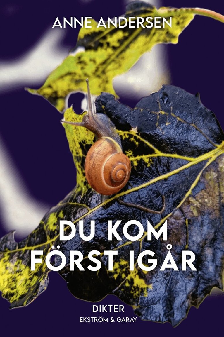 Anne Andersen - Du kom först igår, Häftad