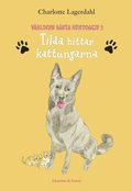 Tilda hittar kattungarna