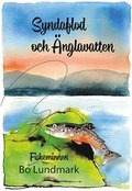 Syndaflod och nglavatten : fiskeminnen