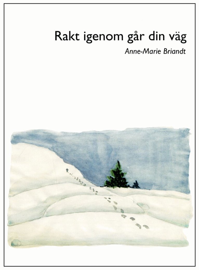 nne-Marie Briandt - Rakt igenom går din väg, E-bok