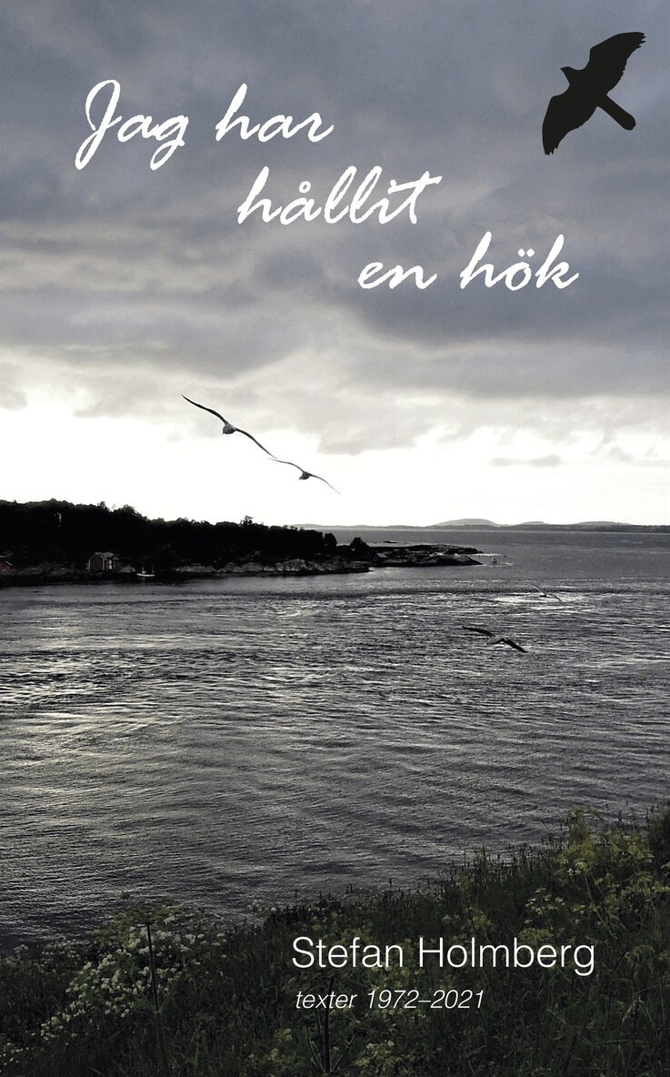 Stefan Holmberg - Jag har hållit en hök, E-bok