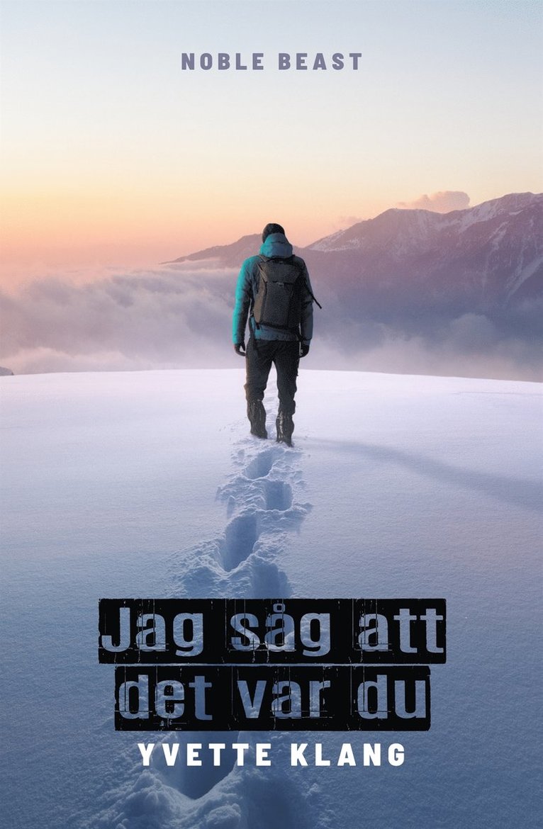 Yvette Klang - Jag såg att det var du, E-bok