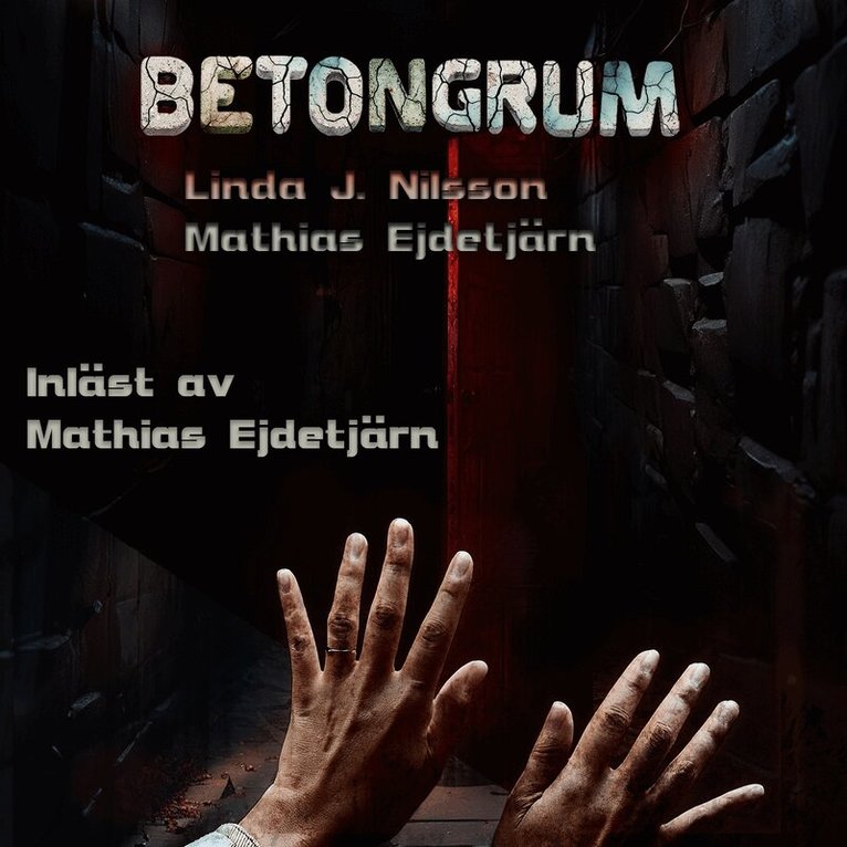 Mathias Ejdetjärn, Linda J. Nilsson - Betongrum, Ljudbok