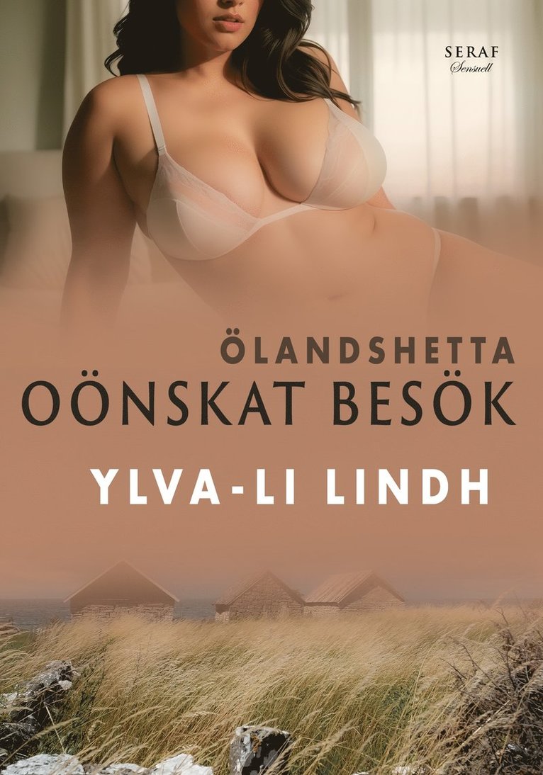 Ylva-Li Lindh - Oönskat besök, E-bok