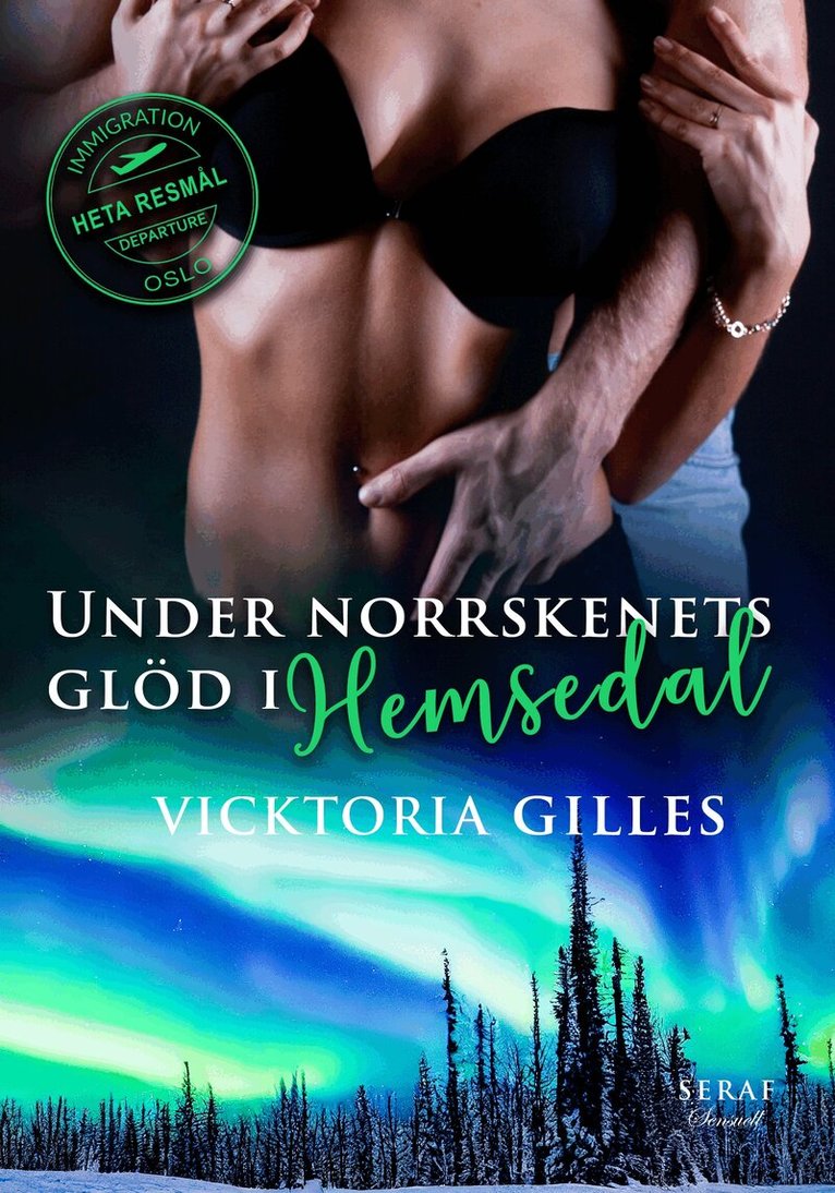 Vicktoria Gilles - Under norrskenets glöd i Hemsedal, E-bok
