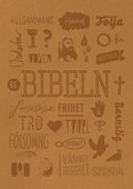 Svenska Folkbibeln 2015 (slimline, b�rnsten Konfirmandbibeln)