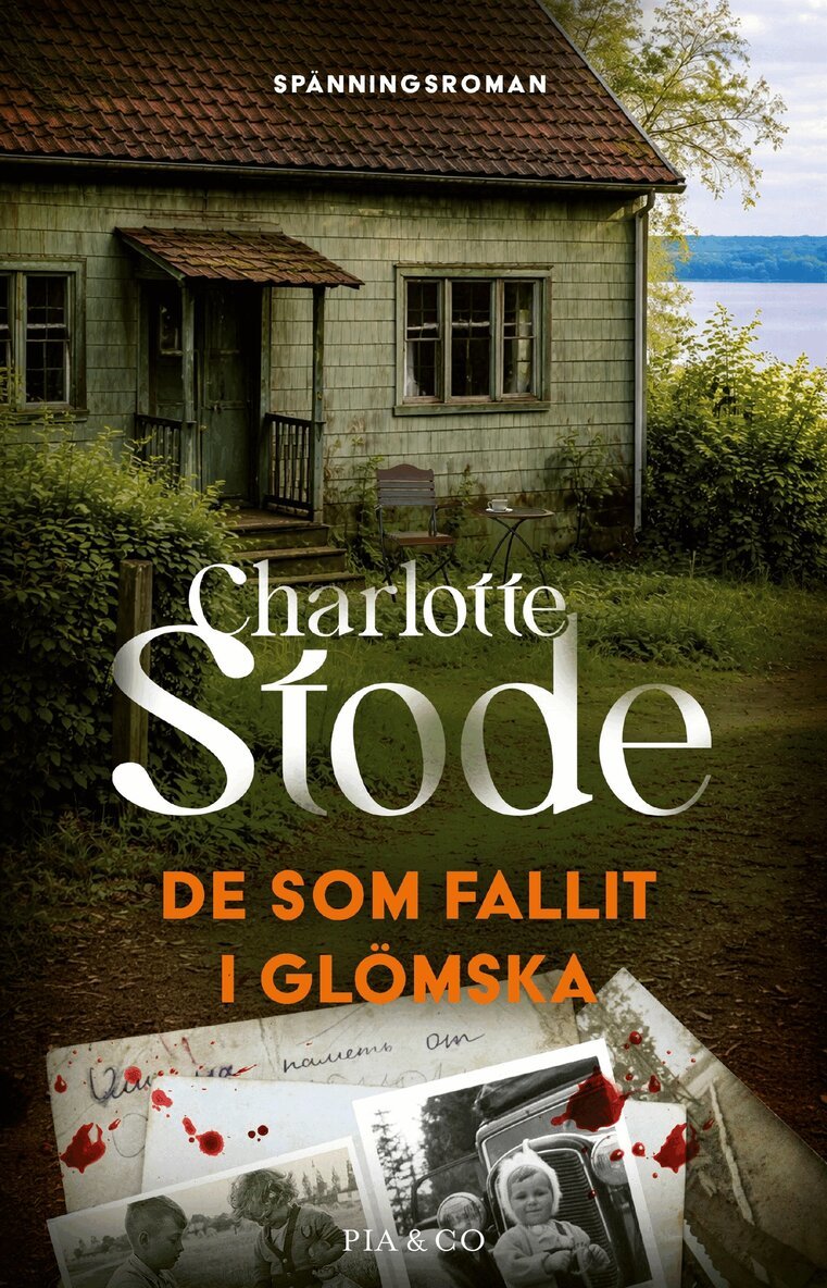 Charlotte Stode - De som fallit i glömska, E-bok