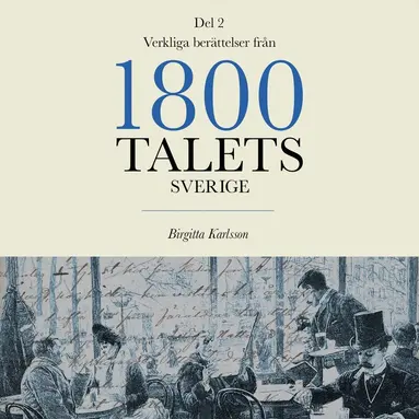 Birgitta Karlsson - Verkliga berättelser från 1800-talets Sverige: Del 2, Ljudbok
