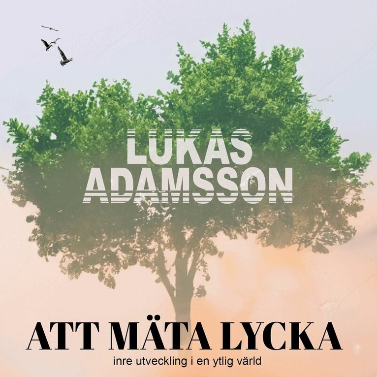 Lukas Adamsson - Att mäta lycka: Inre utveckling i en ytlig värld, Ljudbok