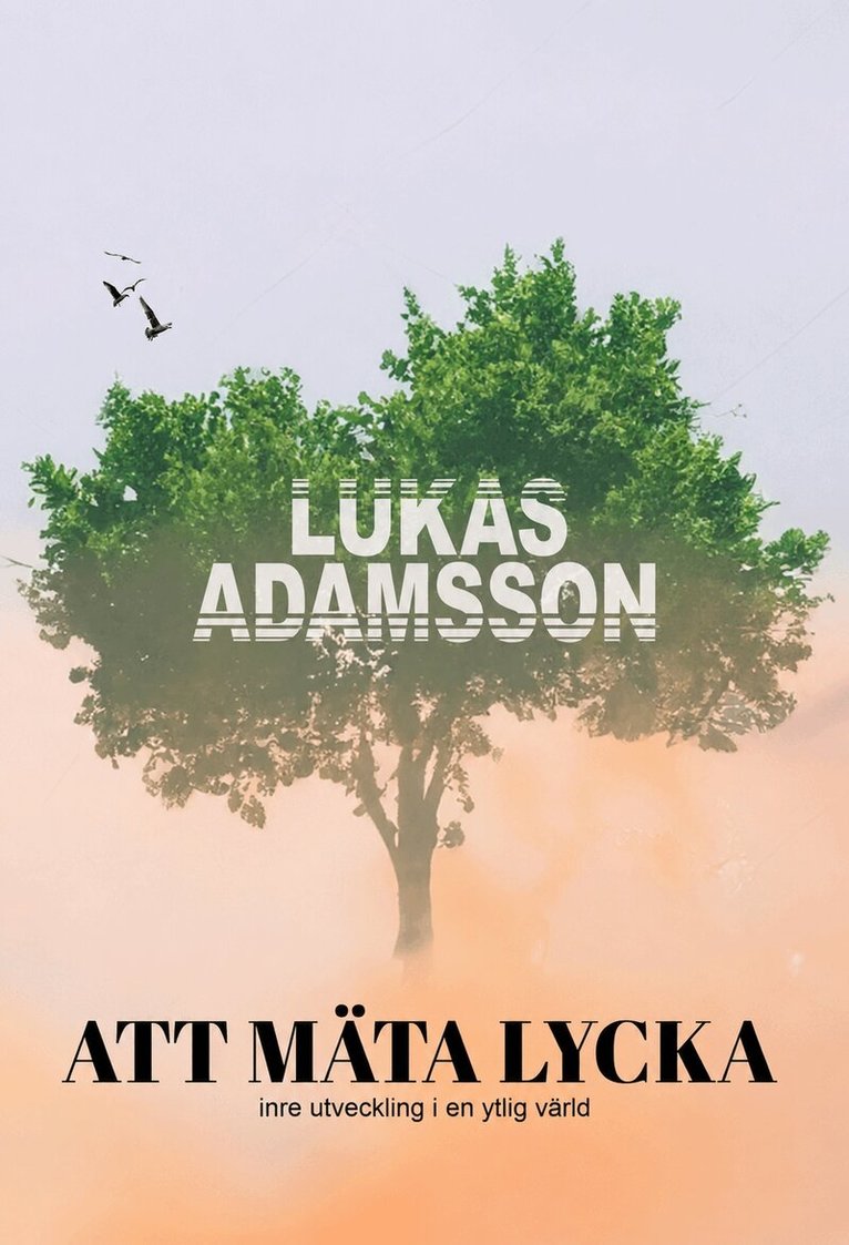 Lukas Adamsson - Att mäta lycka: Inre utveckling i en ytlig värld, E-bok