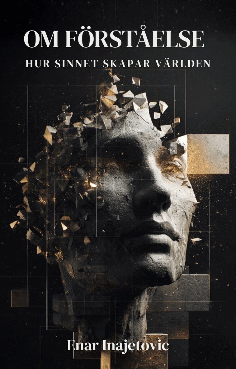 Enar Inajetovic - Om förståelse, E-bok