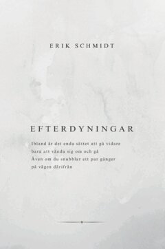 Erik Schmidt - Efterdyningar, Häftad. Tillgänglighet: Lägg i varukorg