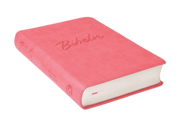 Nya Levande Bibeln 2015 - Konstskinn Rosa, Inbunden