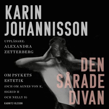 Karin Johannisson - Den sårade divan, Ljudbok
