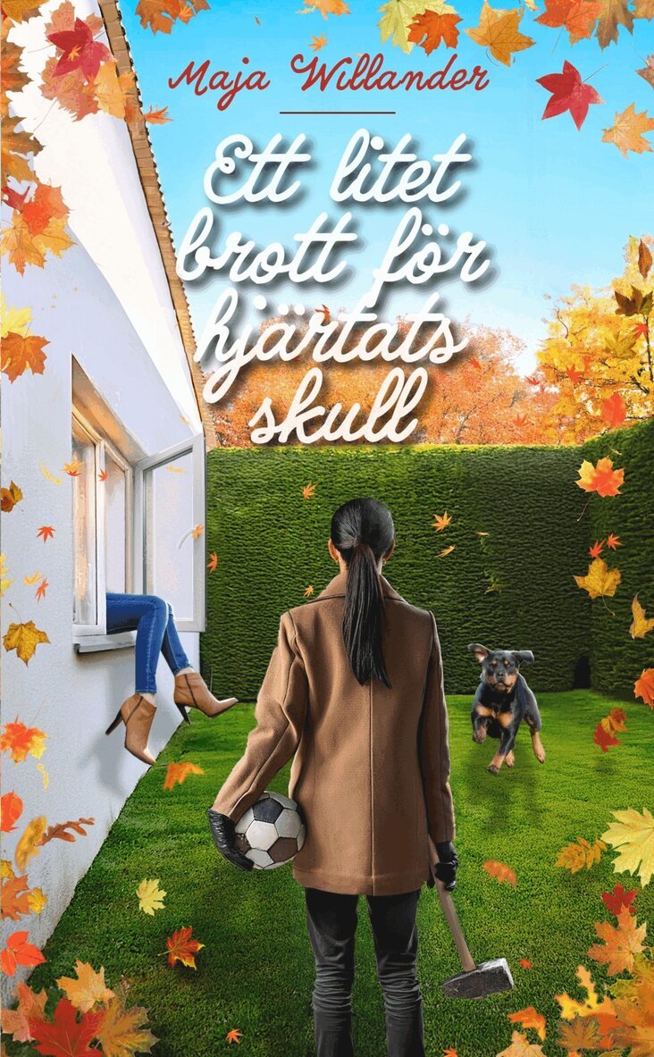Maja Willander - Ett litet brott för hjärtats skull, E-bok