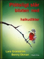 e-Bok Plötsligt slår blixten ned  haikudikter