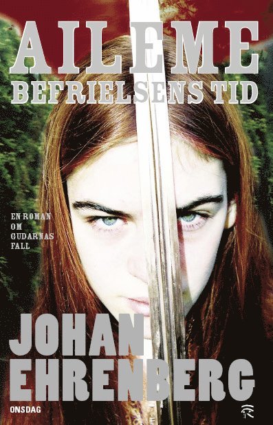 Johan Ehrenberg - Aileme - befrielsens tid, E-bok