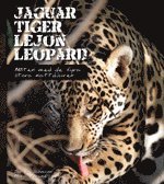 Jaguar tiger lejon leopard : möten med de fyra stora kattdjuren