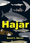 Hajar : en faktabok om hajar