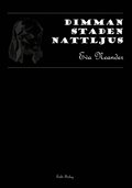 Dimman, Staden, Nattljus