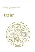 Ett år