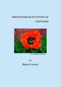 e-Bok Livstycken