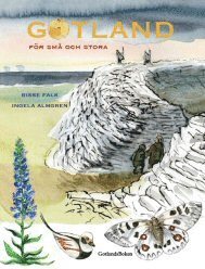 Bisse Falk - Gotland för små och stora, Inbunden