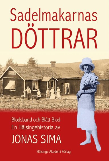 Sadelmakarnas döttrar : blodsband och blått blod – en hälsingehistoria