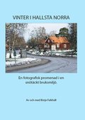 Vinter i Hallsta Norra : en fotografisk promenad i en snötäckt bruksmiljö