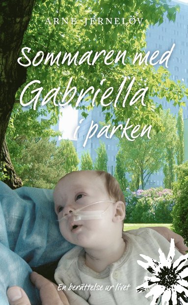 Arne Jernelöv Sommaren med Gabriella i parken