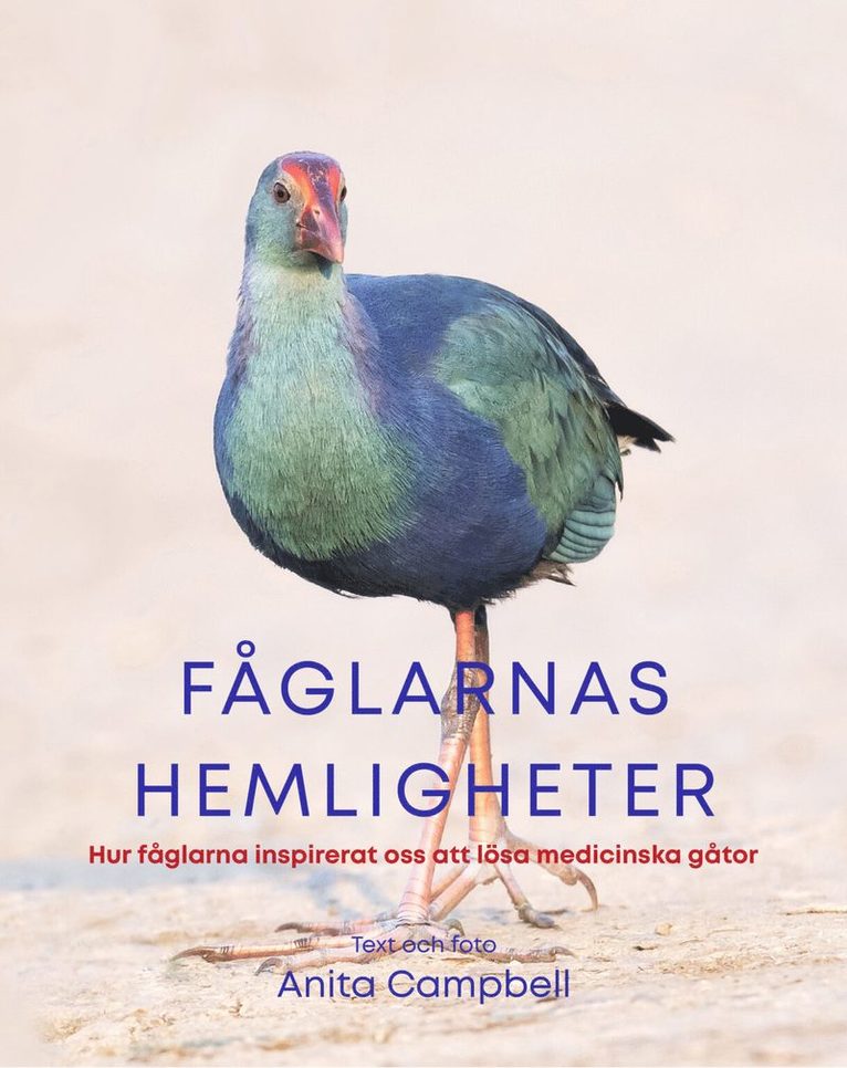 Anita Campbell - Fåglarnas hemligheter : hur fåglarna inspirerat oss att lösa medicinska gåtor, Inbunden