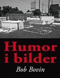 Humor i bilder