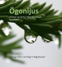 e-Bok Ögonljus