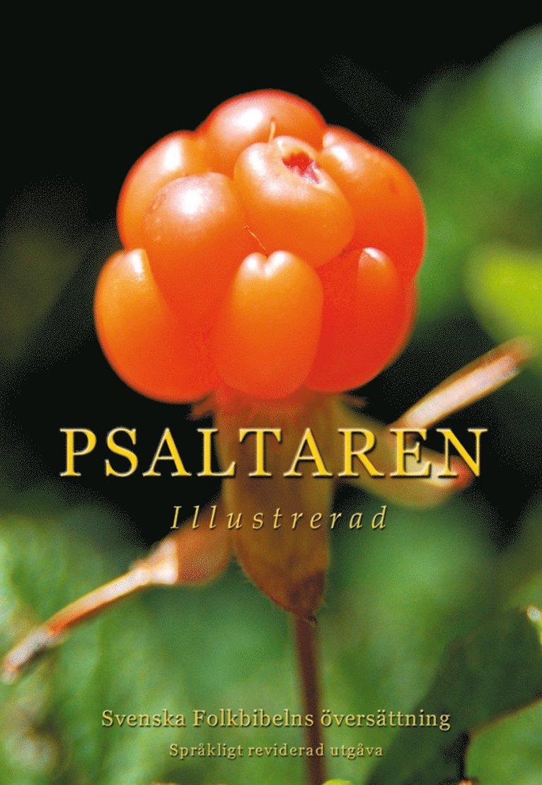 Svenska Folkbibeln - Psaltaren illustrerad, E-bok