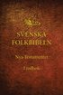 Nya testamentet (Svenska Folkbibeln 98)
