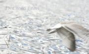 Maria-Thérèse Andersson - Det som finns, Häftad