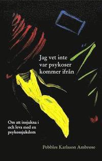 e-Bok Jag vet inte var psykoser kommer ifrån