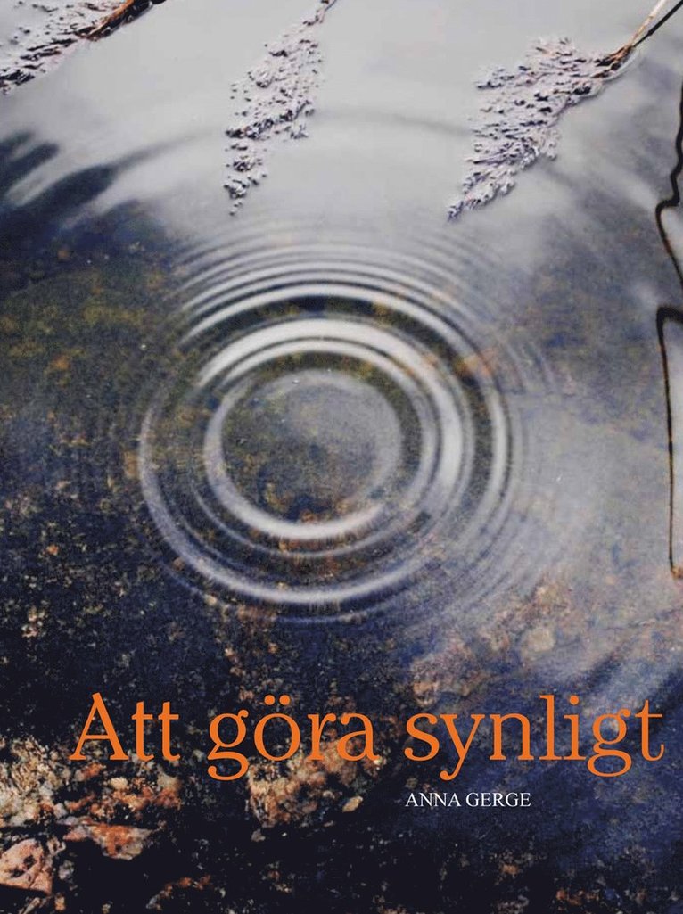 Anna Gerge - Att göra synligt, Inbunden